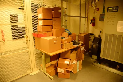 DSC_1333 (Large).JPG